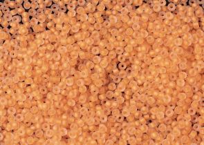 Бисер Чехия круглый 10/0 50г 08789m матовый крашенный из середины оранжевый