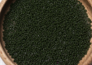 Бисер Япония MIYUKI Seed Beads 15/0 5г 1488 окрашенный оливковый непрозрачный