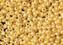 Бисер Чехия круглый 10/0 500 г 46383 жемчужный