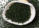 Бисер Япония MIYUKI Seed Beads 15/0 5г 1488 окрашенный оливковый непрозрачный